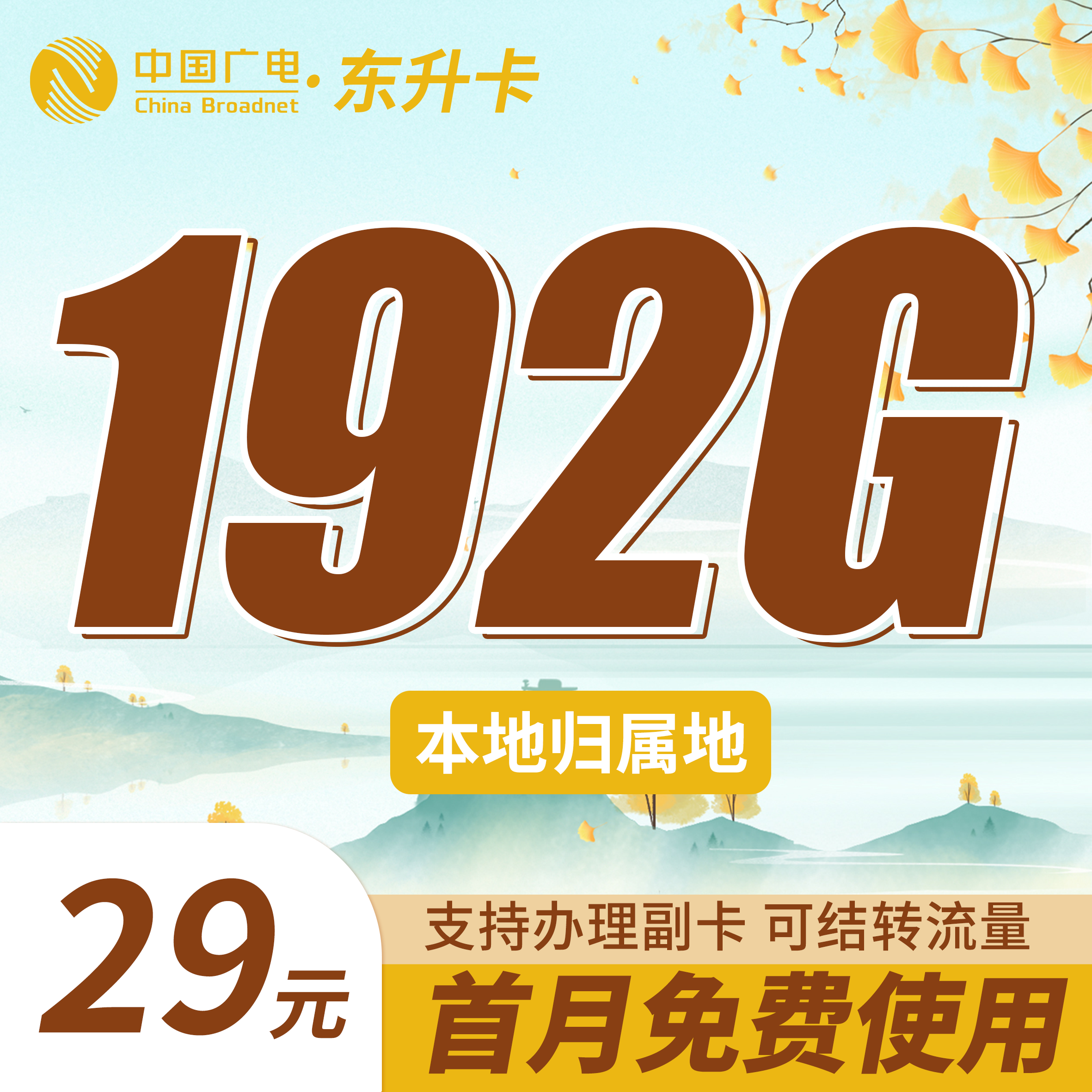 广电东升卡29元192G通用流量（流量支持结转）